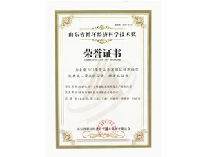 热烈：谹G真人国际环境集团获得2021年度山东省循环经济科学技术奖二等奖